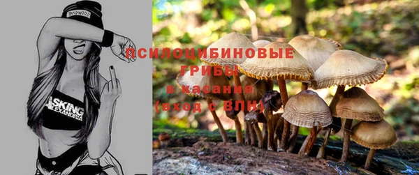 герыч Костерёво