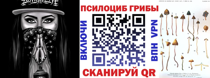 хочу наркоту  Полярный  Галлюциногенные грибы мухоморы 